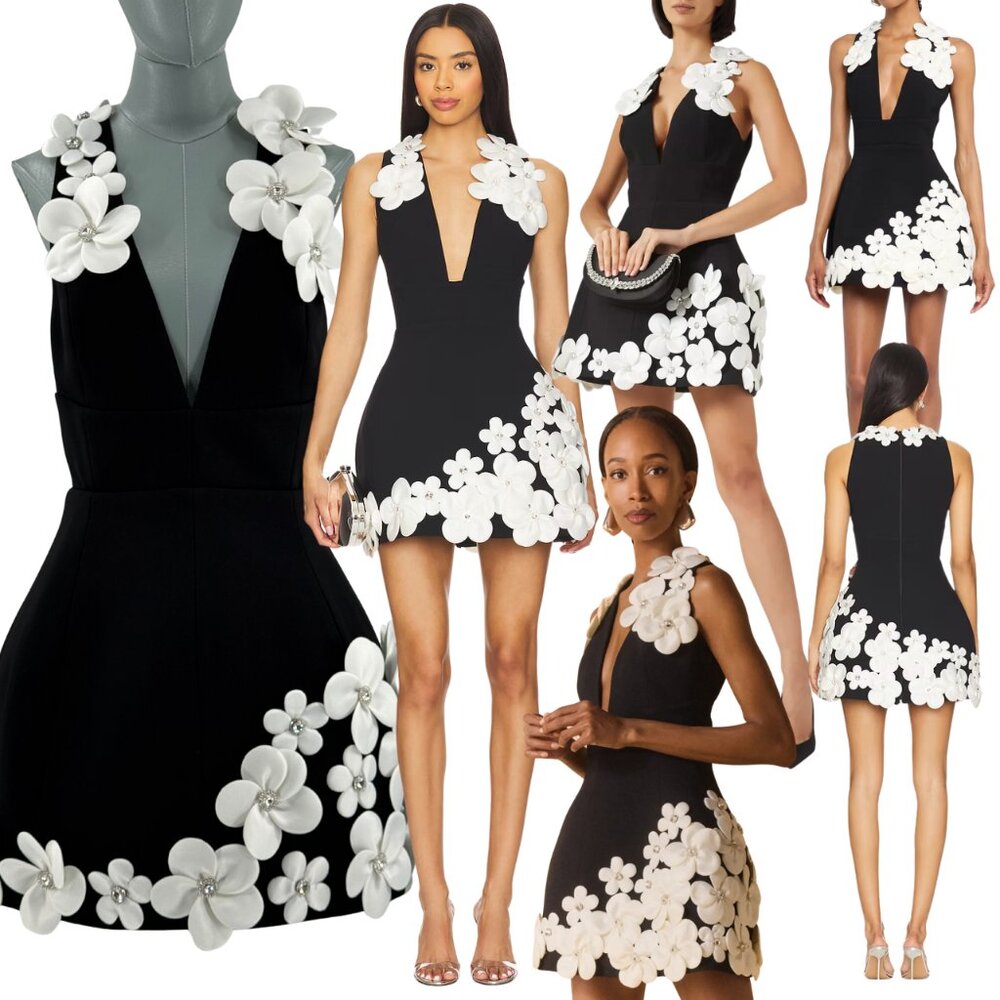 🆕 BRONX & BANCO 🧿 NWOT Estelle Floral Mini Dress, Black/White - Sz S US 4